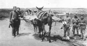 293568_391718827589070_1987058258_n_zpse2c0a679